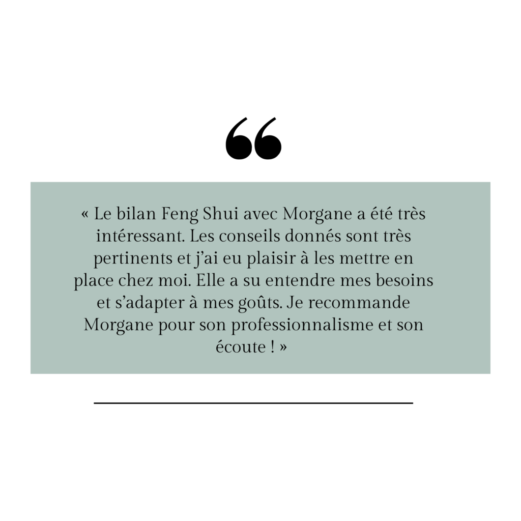 avis client feng shui