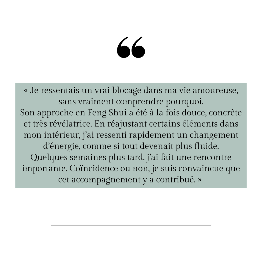 avis client feng shui